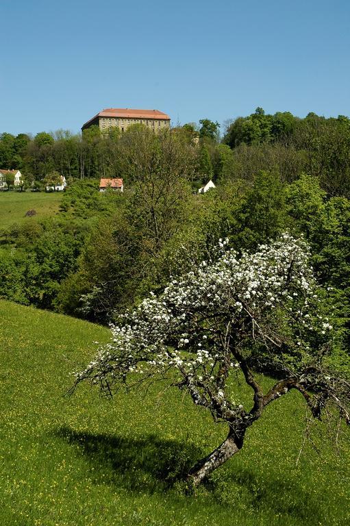 Gasthof Adler Schillingsfürst المظهر الخارجي الصورة